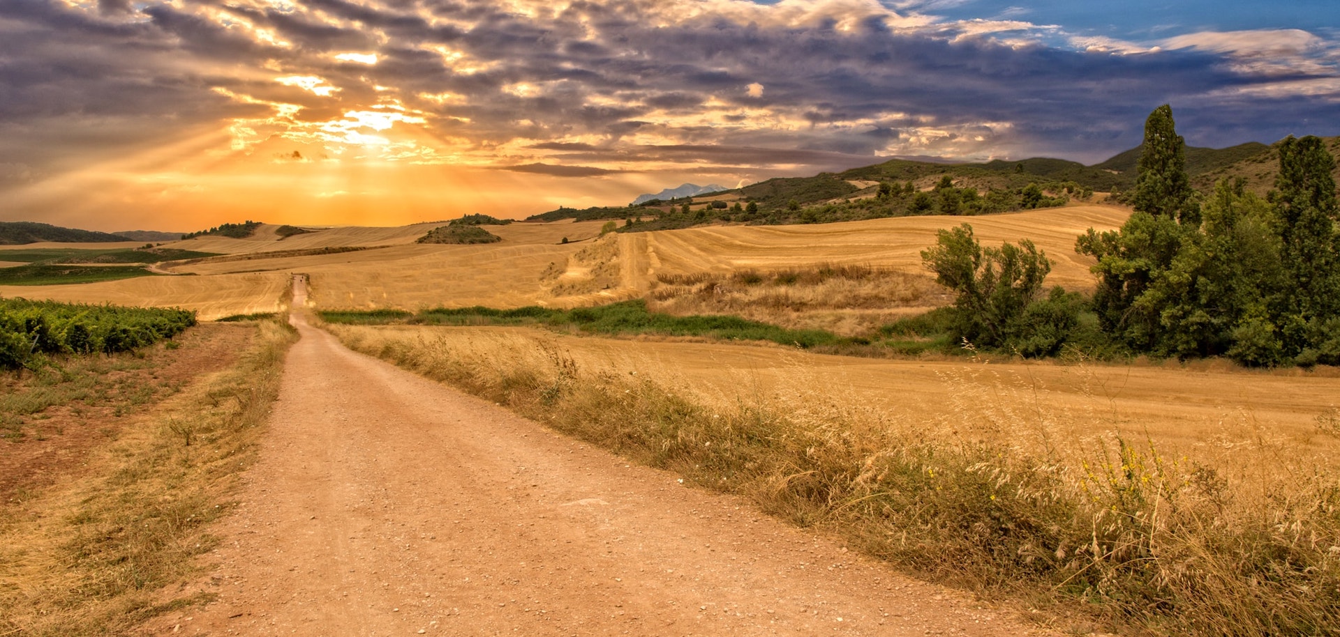 Camino de Santiago | Vélo Monaco